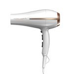 PackPlanchitaEleganceCoconutSecadorBoraCoconut