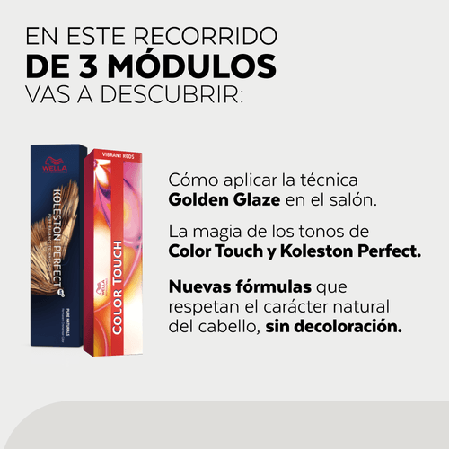 Curso Estudio BAS - Color Color Glaze Modulo 3  –  Wella Professionals
