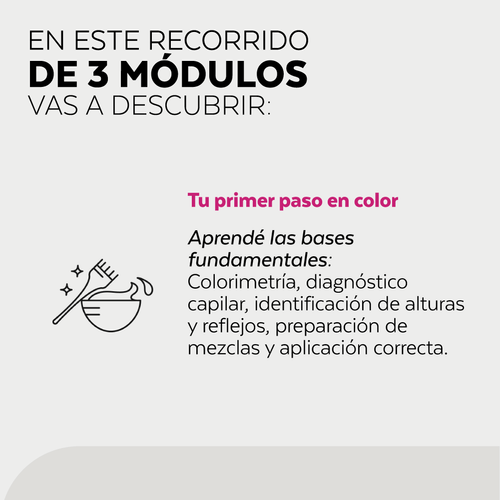 Curso Estudio BAS - Color Fast Start –  Modulo 1 - Wella Professionals