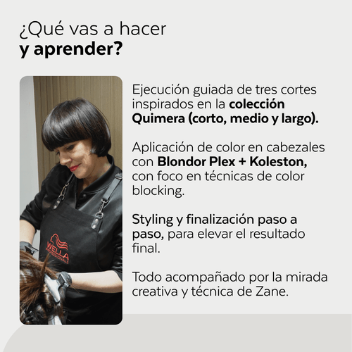 Estudio BAS - Colección Quimera – Wella Professionals by Zane
