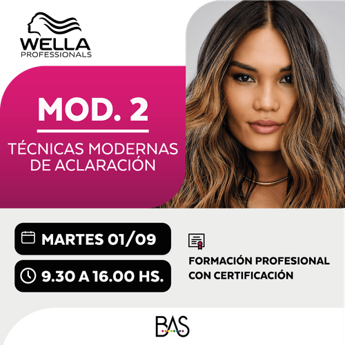 Curso My Blonde Techniques –  Modulo 2