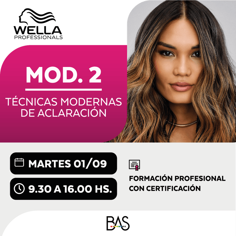 MY-BLOND-TECHNIQUES_mod2_1