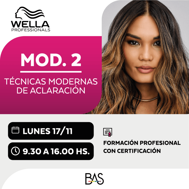 MY-BLOND-TECHNIQUES_mod2_1