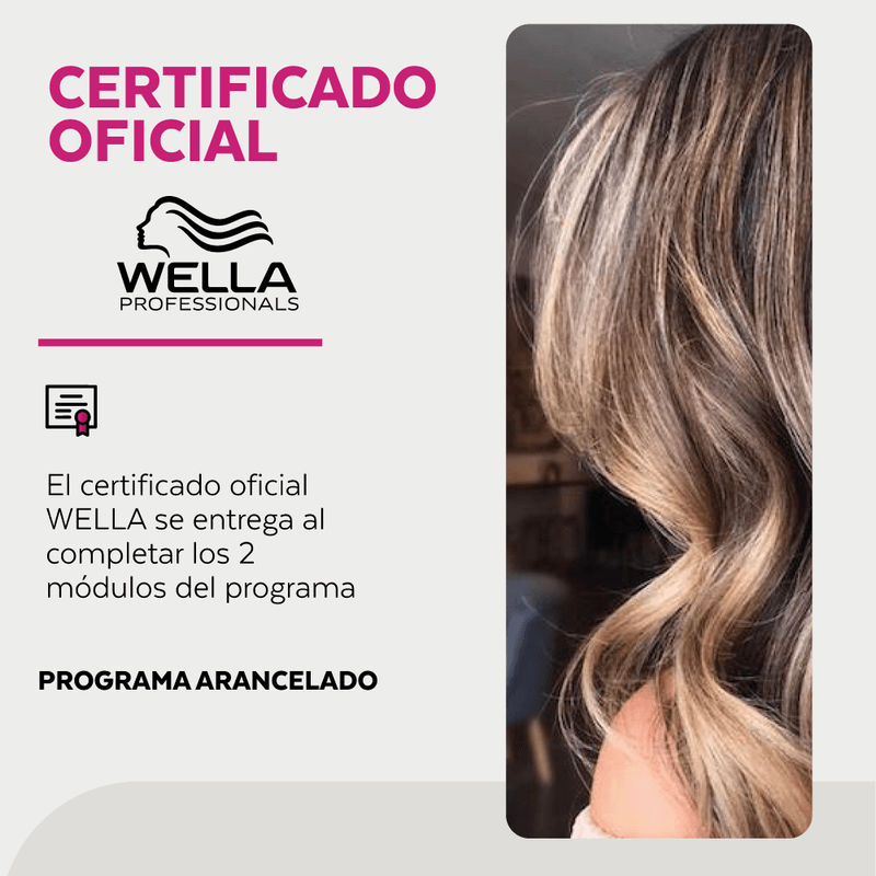 MY-BLOND-TECHNIQUES_mod1_3