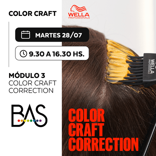 Curso Estudio BAS - Color Craft – Modulo 3 - Wella Professionals