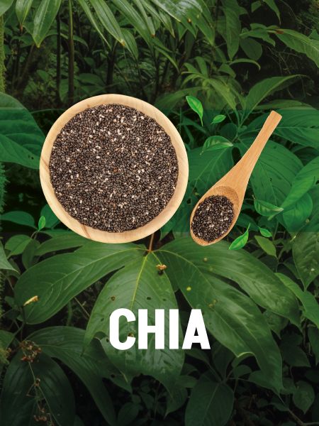 La línea Essentials Oils Chia de GA.MA Italy está formulada con aceite de chía para fortalecer, proteger y revitalizar el cabello. Su acción antioxidante ayuda a prevenir el daño, aporta elasticidad y deja el pelo más resistente, brillante y saludable.