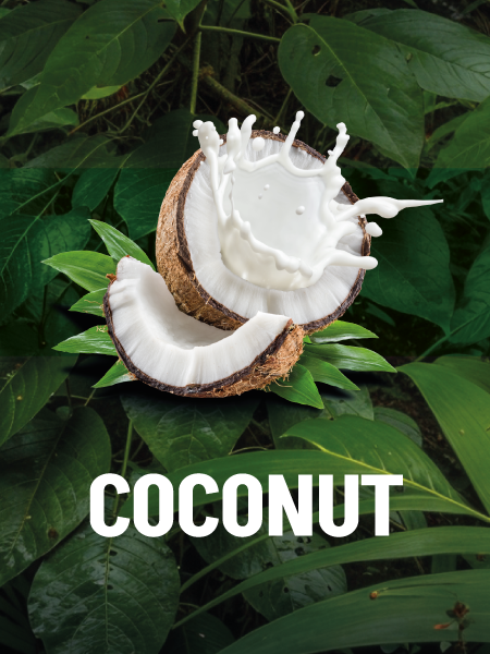Descubrí la línea Essentials Oils Coconut de GA.MA Italy, enriquecida con aceite de coco para nutrir, proteger y dar brillo natural a tu cabello. Ideal para uso diario, reduce el frizz y deja el pelo suave, sedoso y con un aroma increíble. ¡Cuidá tu cabello con tecnología y naturaleza!